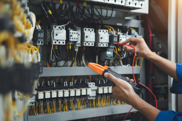 Best Electric Panel Repair  in Harbor Bluffs, FL